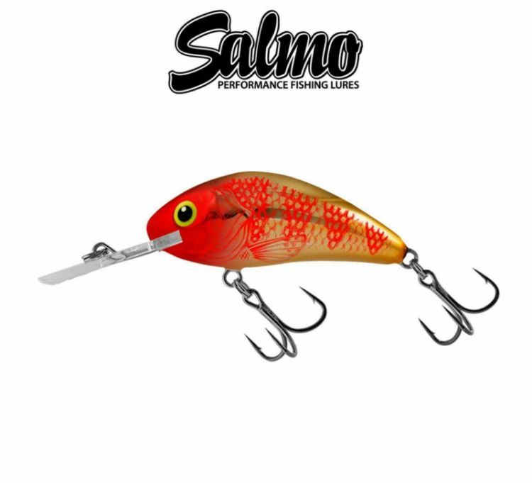 Picture of SALMO HORNET RATTLIN Floating Crank