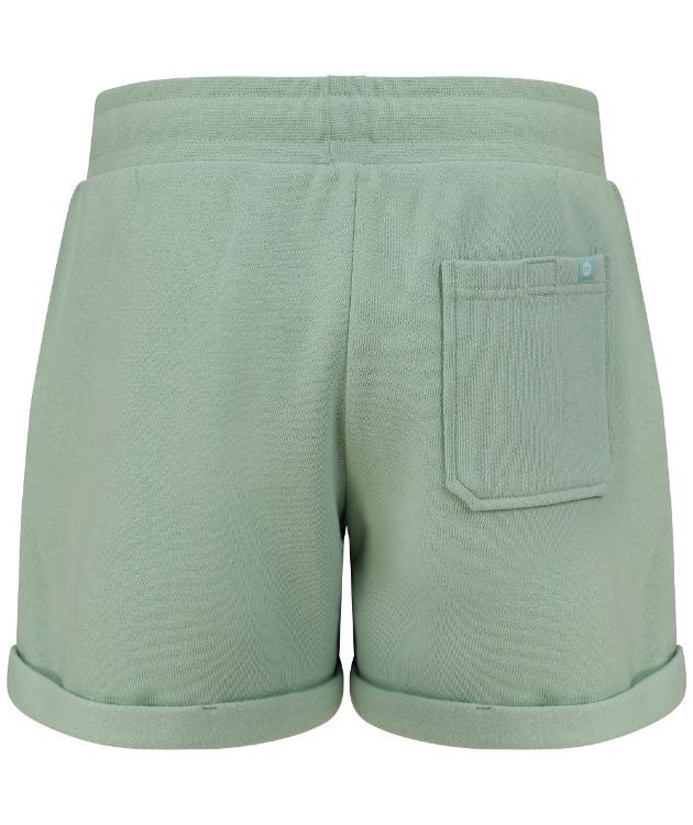 Picture of Navitas Womens Shorts Light Green 