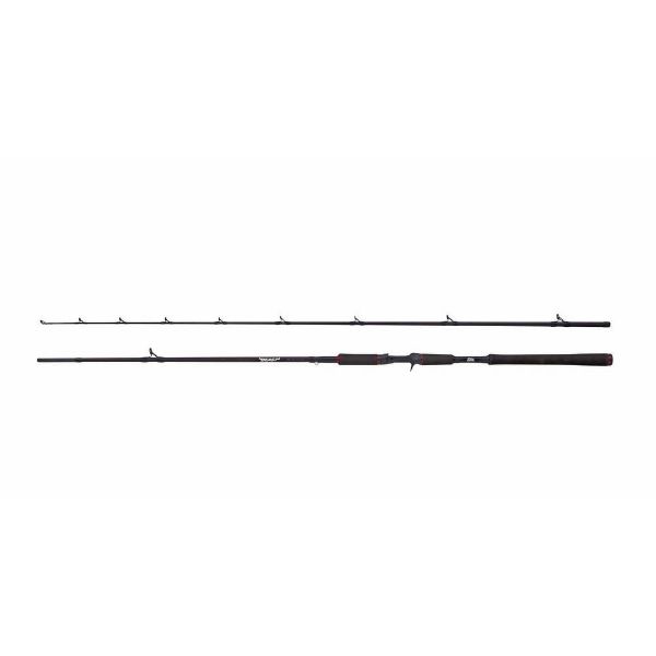 Picture of Abu Garcia Beast Casting Rods